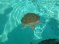 Vacation-Dave&Mike00312.jpg