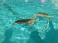 Vacation-Dave&Mike00314.jpg