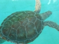 Vacation-Dave&Mike00315.jpg