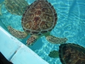 Vacation-Dave&Mike00318.jpg