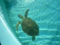 Vacation-Dave&Mike00319.jpg