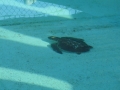 Vacation-Dave&Mike00320.jpg