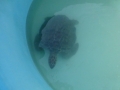 Vacation-Dave&Mike00328.jpg