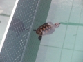 Vacation-Dave&Mike00329.jpg