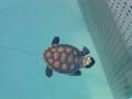 Vacation-Dave&Mike00336.jpg
