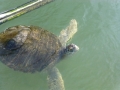 Vacation-Dave&Mike00344.jpg