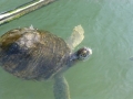 Vacation-Dave&Mike00345.jpg