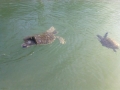 Vacation-Dave&Mike00350.jpg