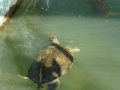 Vacation-Dave&Mike00355.jpg