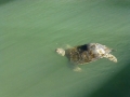 Vacation-Dave&Mike00357.jpg