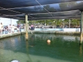 Vacation-Dave&Mike00359.jpg
