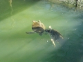 Vacation-Dave&Mike00365.jpg