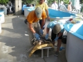 Vacation-Dave&Mike00369.jpg