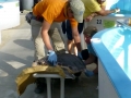 Vacation-Dave&Mike00377.jpg