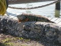 Vacation-Dave&Mike00406.jpg