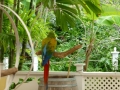 Vacation-Dave&Mike00424.jpg