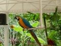 Vacation-Dave&Mike00425.jpg