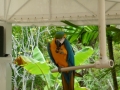 Vacation-Dave&Mike00428.jpg