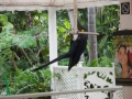 Vacation-Dave&Mike00431.jpg