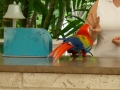 Vacation-Dave&Mike00436.jpg