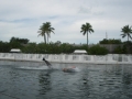 Vacation-Dave&Mike00439.jpg