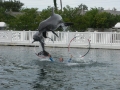 Vacation-Dave&Mike00442.jpg
