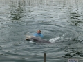 Vacation-Dave&Mike00443.jpg