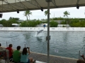 Vacation-Dave&Mike00446.jpg