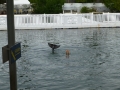 Vacation-Dave&Mike00447.jpg