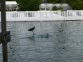 Vacation-Dave&Mike00448.jpg