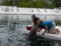 Vacation-Dave&Mike00456.jpg