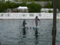 Vacation-Dave&Mike00457.jpg