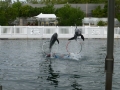 Vacation-Dave&Mike00458.jpg