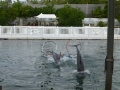 Vacation-Dave&Mike00459.jpg