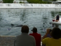 Vacation-Dave&Mike00464.jpg