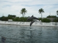Vacation-Dave&Mike00469.jpg