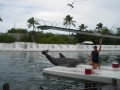 Vacation-Dave&Mike00470.jpg