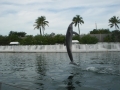 Vacation-Dave&Mike00471.jpg