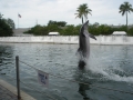 Vacation-Dave&Mike00472.jpg