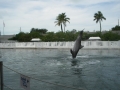 Vacation-Dave&Mike00474.jpg