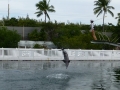 Vacation-Dave&Mike00477.jpg