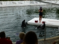 Vacation-Dave&Mike00479.jpg