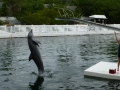 Vacation-Dave&Mike00490.jpg
