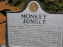 Monkey Jungle