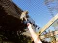 Monkey_Jungle00025.jpg