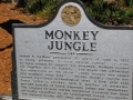 Monkey_Jungle00147.jpg