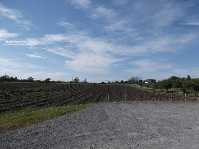 Winery_Tour00029