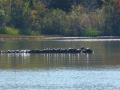 BaySprings10000002_2