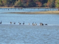 Bay_Springs_MS0000004