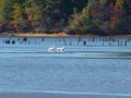 Bay_Springs_MS0000005